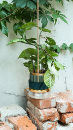 BRASS Eclectic Indoor Planter – Modern Eco Pot
