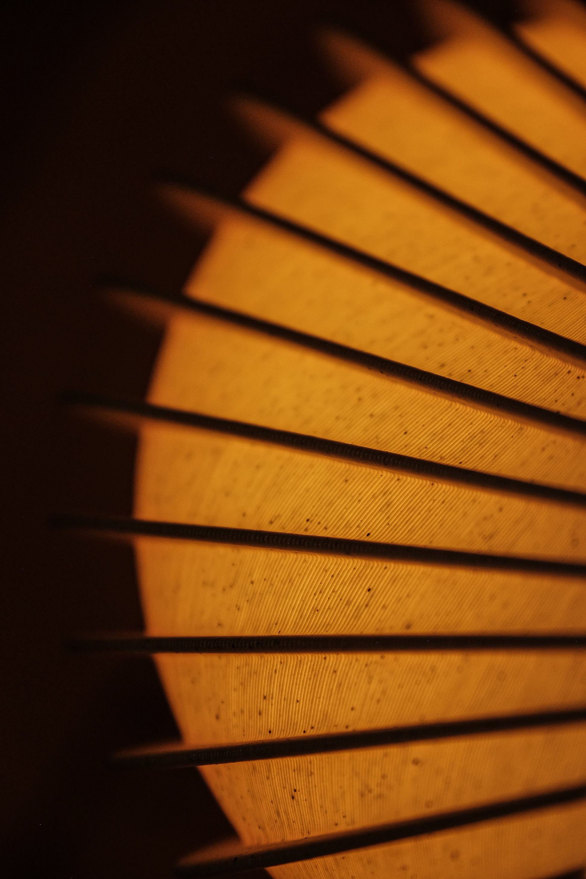 Alma Table Lamp – Eco Lighting by BIOMORPH - Desert Beige